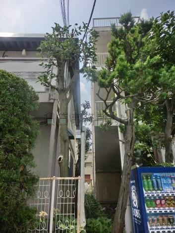 隣の建物に隣接しています