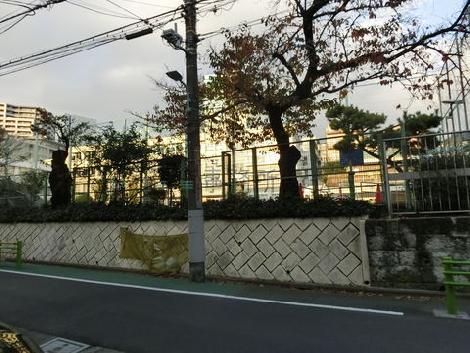 物件周辺