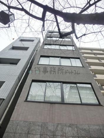 見上げた様子です