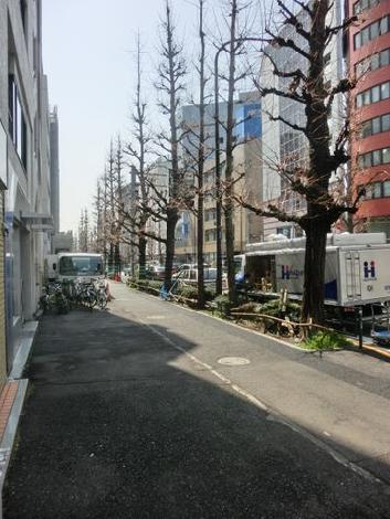 正面入口付近から見た周辺です