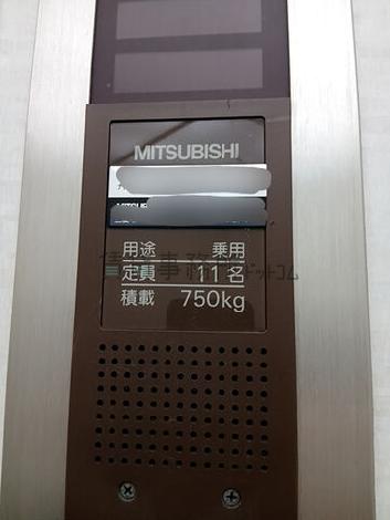 EV 11名乗り