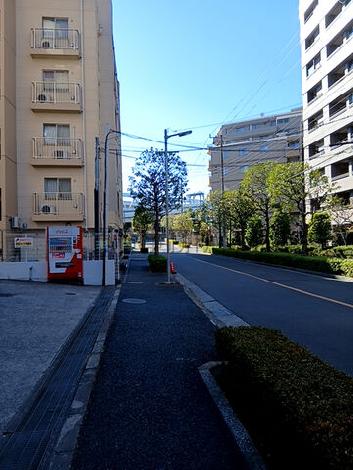 物件周辺
