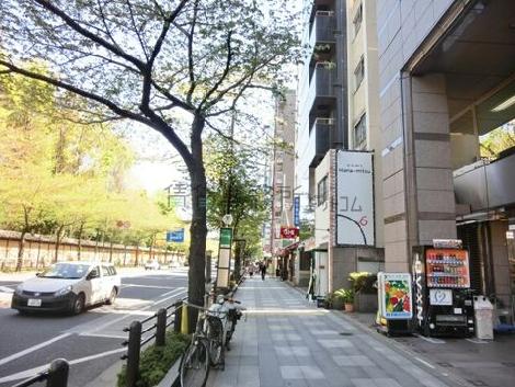 街路樹の立ち並ぶ通り
