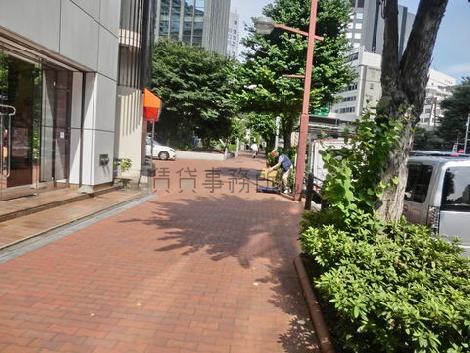 木々が立ち並びます