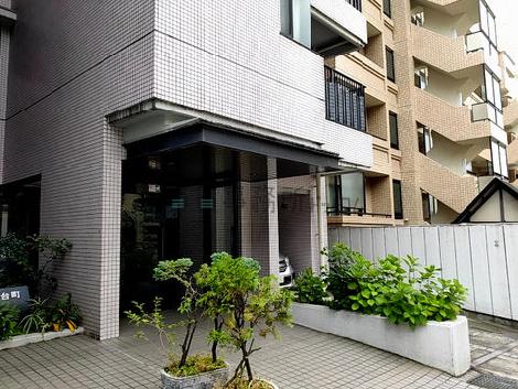 正面玄関