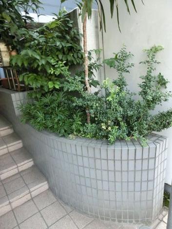 入口付近に植込みがあります