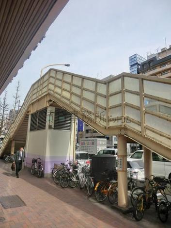 正面入口付近から見た周辺です