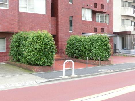 正面玄関