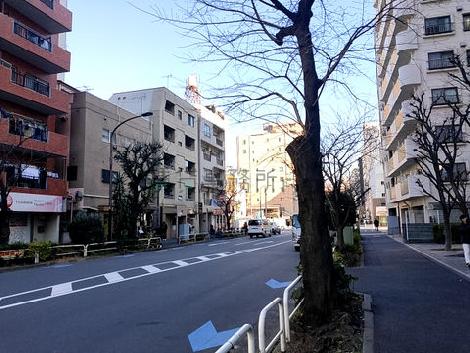 物件周辺