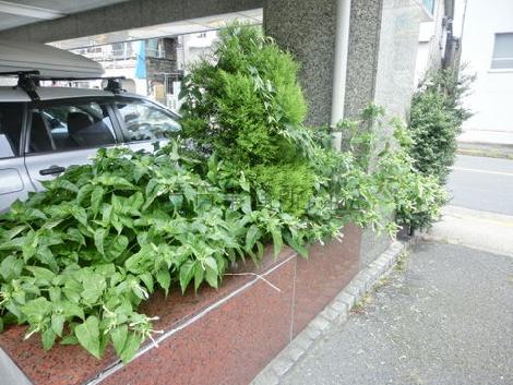 物件周辺