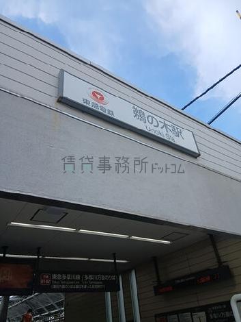 物件周辺