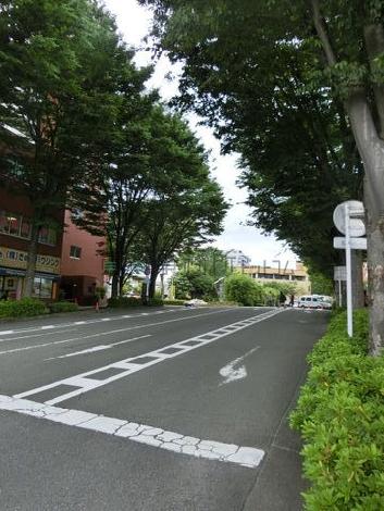 物件周辺