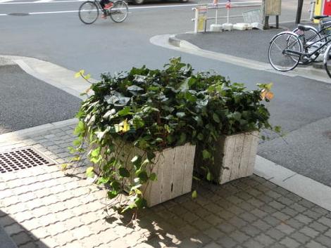植栽