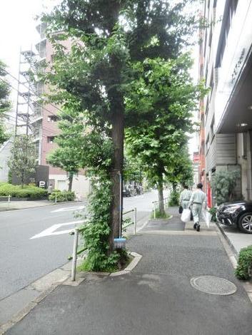 物件周辺