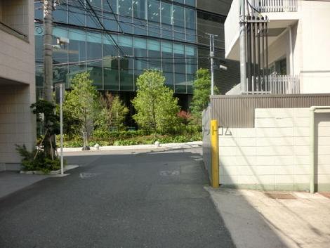 奥に見えるのは渋谷ファーストタワーです