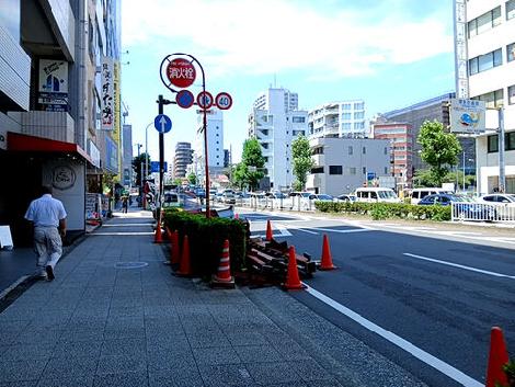 物件周辺