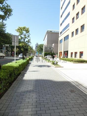 緑のある歩道