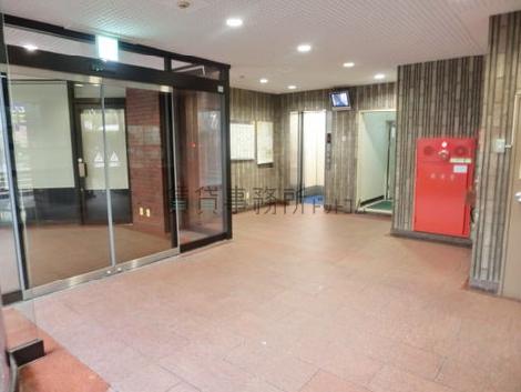 綺麗に整備されています