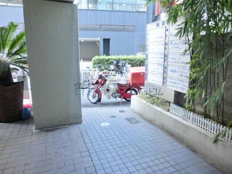 正面玄関