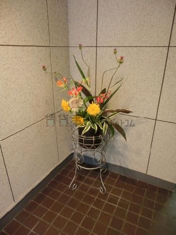 一層華やかです