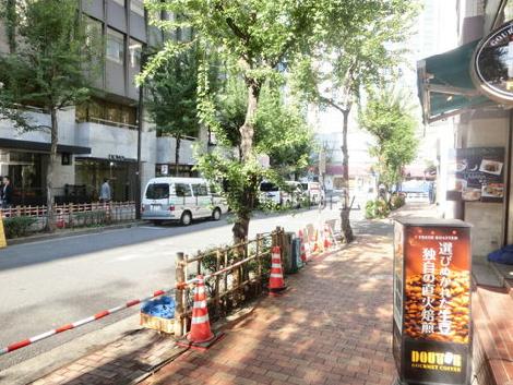 玄関前の街路樹が立ち並ぶエリア