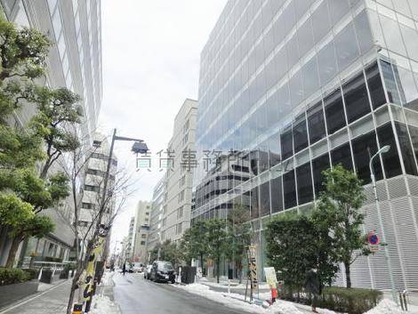 街路樹の立ち並ぶ通り