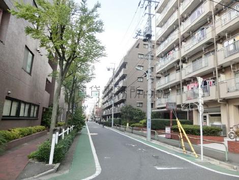 街路樹のある玄関側通り