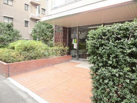 植栽に囲まれた玄関