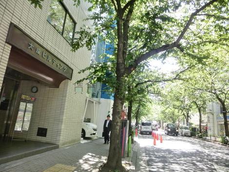 前面道路は沢山の街路樹が
