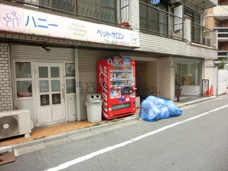 物件周辺