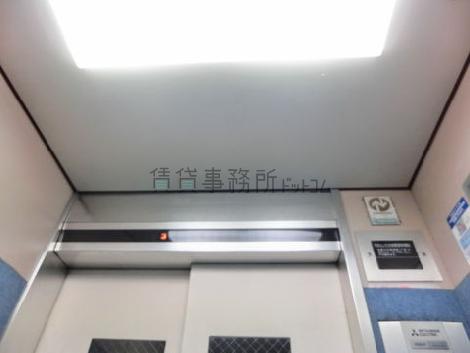 天井の照明