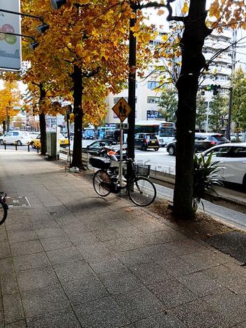 物件周辺