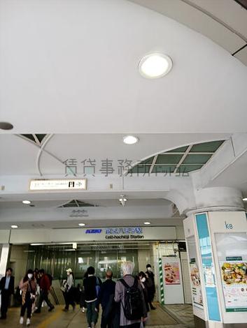 物件周辺