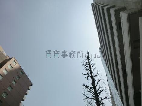 明治通り沿いです
