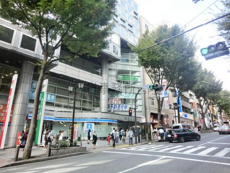 全面道路右手の様子