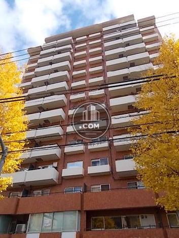 マンションニュー本郷ビル 外観写真