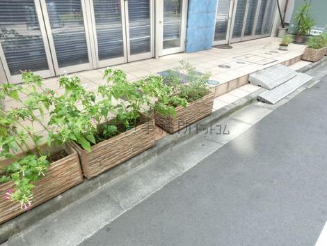 正面玄関