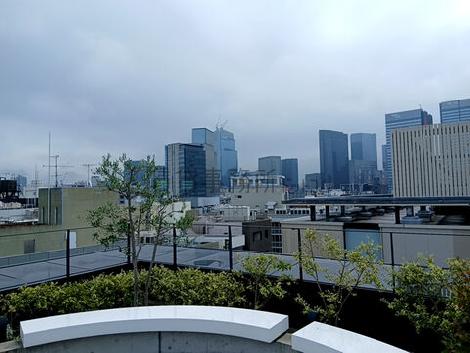 屋上