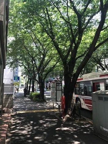 物件周辺