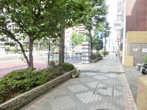 街路樹のある歩道