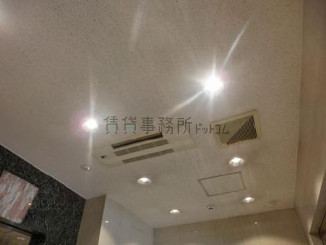 強い明かりで照らされています