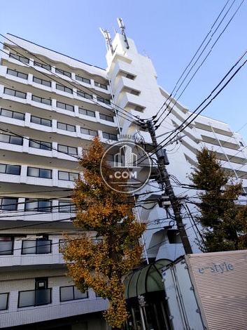 メゾンドール臼井の外観写真