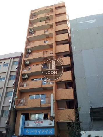 ライオンズマンション大塚／ライオンズマンション白銀ビルの外観写真