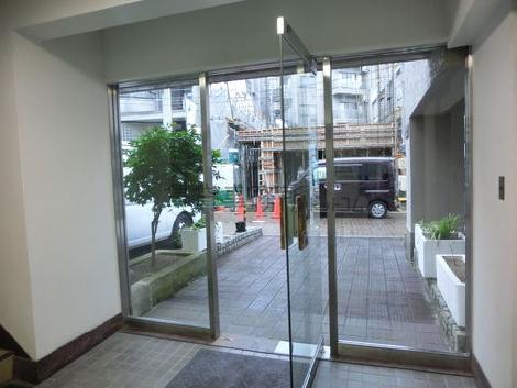 透明感のある造りです