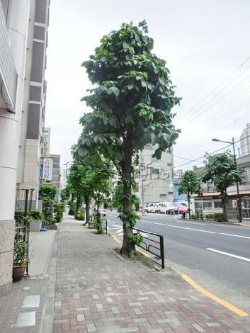 物件周辺