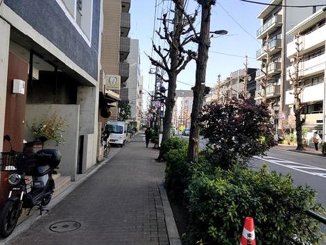 物件周辺