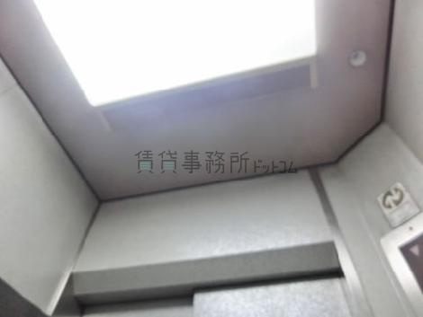 天井の照明