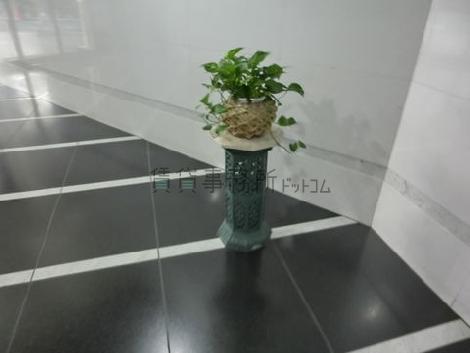 エントランスホールに置かれた植栽