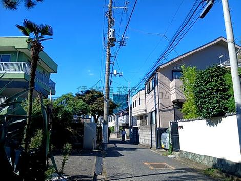 物件周辺