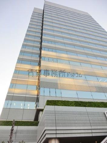 正面から見上げた様子です